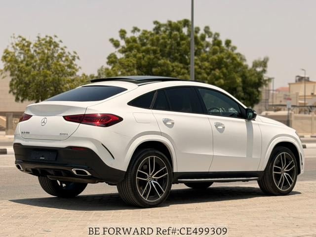 CE499309_5.jpg
